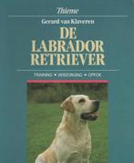 De Labrador Retriever - Gerard van Kalveren, Enlèvement ou Envoi