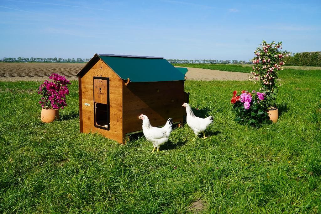 Trespa Kippenhok Cucciolotta Classic 2XL | Grondmodel, Animaux & Accessoires, Volatiles | Accessoires, Neuf, Poulailler, Enlèvement ou Envoi