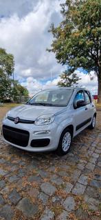 Fiat Panda 2017 1.2 Benzine, Auto's, Voorwielaandrijving, Stof, Panda, Bedrijf