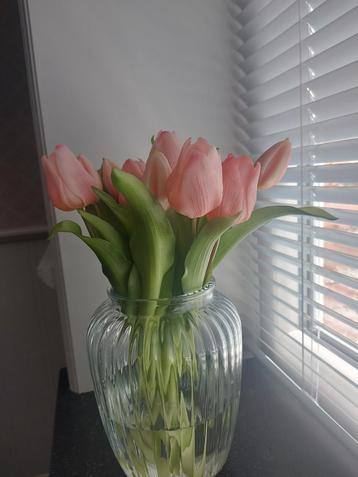Prachtige Tulpen