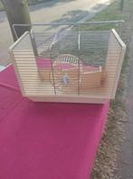 Kooi, Dieren en Toebehoren, Ophalen, Kooi