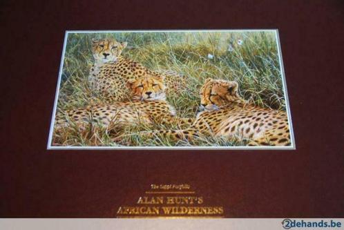 Alan M Hunt - African wildlife - The Sappi portfolio 1998, Antiquités & Art, Art | Lithographies & Sérigraphies, Enlèvement