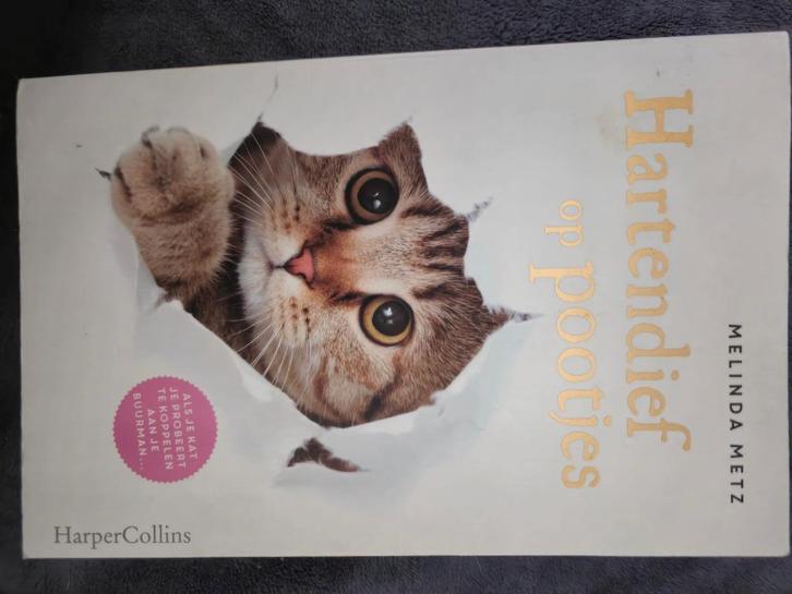 Boeken, Boeken, Romans, Zo goed als nieuw, België, Ophalen of Verzenden