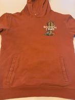 Hoodie Scotch Shrunk maat 14 jaar, Kinderen en Baby's, Ophalen of Verzenden