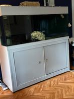 Aquarium te koop, Ophalen, Gebruikt, Leeg aquarium
