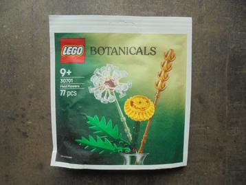 Lego Botanicals Field Flower Set (zie foto's) beschikbaar voor biedingen