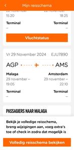 2 Vliegtickets vandaag malaga- amsterdam 29 nov, Tickets en Kaartjes, Twee personen, Vliegtuig, Met bestemming of datum