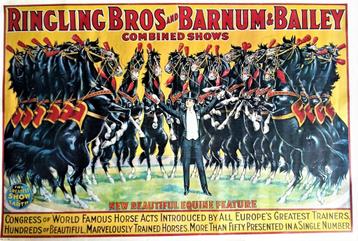 XL Poster Ringling Brothers 🎪 Barnum & Bailey 🐴 92 x 60 cm beschikbaar voor biedingen