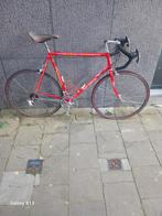 Eddy Merckx Arcobaleno, Fietsen en Brommers, 55 tot 59 cm, Ophalen of Verzenden, Eddy Merckx, Jaren '60 of nieuwer