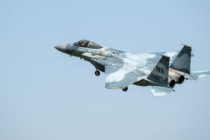 F15 Avonds, Hobby en Vrije tijd, Modelbouw | Radiografisch | Vliegtuigen, Gebruikt, Benzine, Ophalen