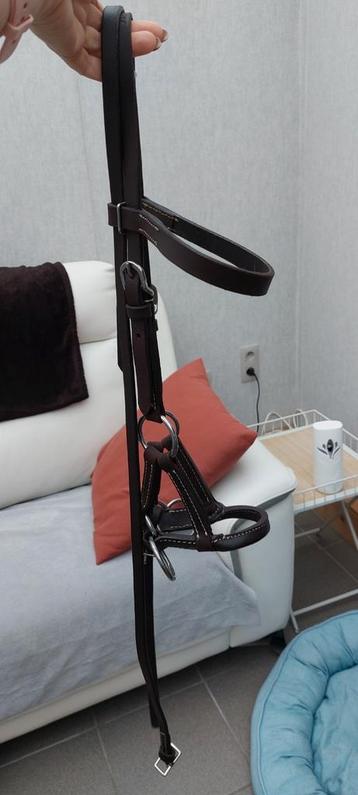 Biltloos hoofdstel maat pony, Animaux & Accessoires, Enlèvement ou Envoi
