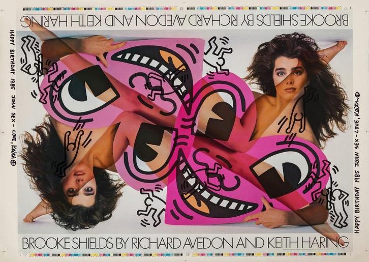 Keith Haring Richard Avedon Brooke Shields, Antiek en Kunst, Kunst | Litho's en Zeefdrukken, Ophalen of Verzenden
