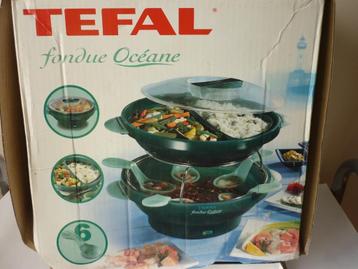 Téfal - Fondue Océane beschikbaar voor biedingen