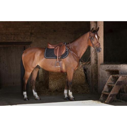 Selle Mixte Eric Thomas modèle New HYBRID 2023, taille 17", Dieren en Toebehoren, Paarden en Pony's | Zadels, Gebruikt, Springen