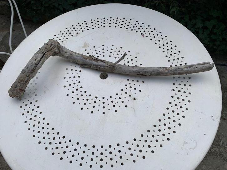 Rivier drijfhout Lengte 82cm amplitude 30 diameter 4, Antiek en Kunst, Kunst | Beelden en Houtsnijwerken, Verzenden