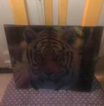 Photo : tigre sur verre, Comme neuf, Moins de 50 cm, Enlèvement, Moins de 50 cm
