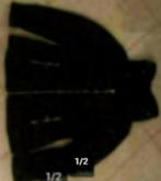 Doudoune noire XL chaude 'Pimkie', Noir, Porté, Taille 46/48 (XL) ou plus grande, Enlèvement