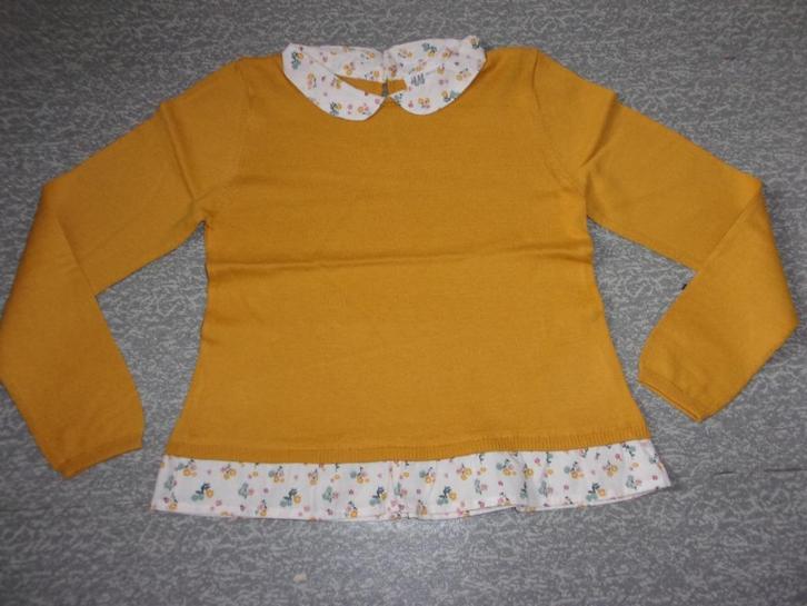 SPLINTERNIEUW meisjes truitje. Maat 122-128, Kinderen en Baby's, Kinderkleding | Maat 122, Nieuw, Meisje, Trui of Vest, Ophalen of Verzenden