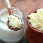 Melk Kefir champagne MelkKefir verse Kefir probiotica, Diversen, Ophalen