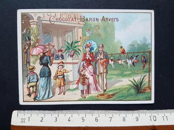 Chromo Chocolat Baron Anvers Antwerpen ZOO Papegaai, Verzamelen, Foto's en Prenten, Zo goed als nieuw, Prent, Dier, Voor 1940
