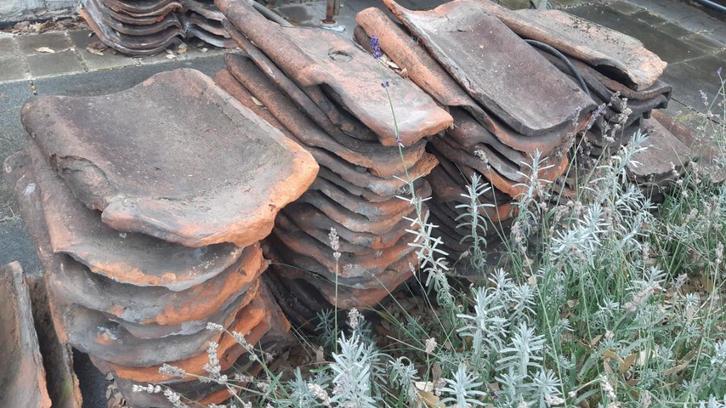 Boomse pannen 250 tal, Doe-het-zelf en Bouw, Dakpannen en Dakbedekking, Gebruikt, Dakpannen, Steen of Klei, Rood, 5 tot 10 m²