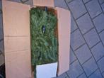 Kerstboom 180 cm met lichtjes, Comme neuf, Enlèvement ou Envoi