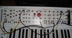 Waldorf eurorack DVCA1, MOD1 en CMP1, Muziek en Instrumenten, Ophalen, Zo goed als nieuw