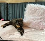 Te koop slaapzetel, Huis en Inrichting, Ophalen, Gebruikt, Zwart, Tweepersoons