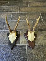 2 Mooie Ree Geweien samen € 17.50 Mancave Jacht Landelijk 99, Ophalen of Verzenden, Hert, Gewei of Kop