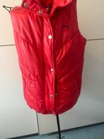 Veste femme T/38, Kleding | Dames, Bodywarmers, Puma, Gedragen, Rood, Ophalen