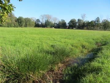 Landbouwgrond Herselt beschikbaar voor biedingen
