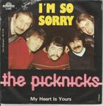 The Picknicks - I'm so sorry   - Monopole -, 7 pouces, Pop, Enlèvement ou Envoi, Single