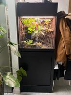 Ingericht Paludarium te koop – Ideaal voor reptielen, Dieren en Toebehoren, Reptielen en Amfibieën | Toebehoren, Ophalen, Gebruikt