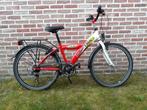 kinderfiets, Fietsen en Brommers, Ophalen, Gebruikt, 20 inch of meer, Golden Lion