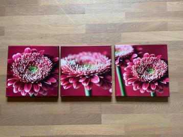3 fotoprints bloemen beschikbaar voor biedingen
