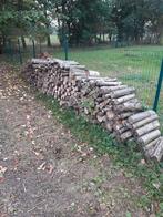 Brandhout 1 jaar droog verschillende houtsoorten door elkaar, Tuin en Terras, Brandhout, Ophalen