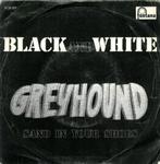 single greyhound---black and white-----, Gebruikt, 7 inch, Single, Ophalen of Verzenden
