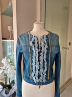 BLUGIRL JEANS damesvest, Kleding | Dames, Jasjes, Kostuums en Pakken, Ophalen of Verzenden, Zo goed als nieuw, Maat 42/44 (L)