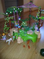 playmobil elfjes, Ophalen of Verzenden, Zo goed als nieuw, Complete set