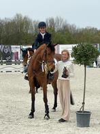 Ruiter gezocht contacteer mij, Dieren en Toebehoren