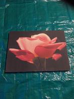 wanddecoratie jline, Enlèvement, Comme neuf