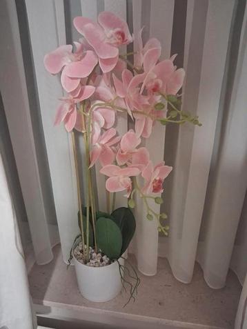 Neppe bloemen 