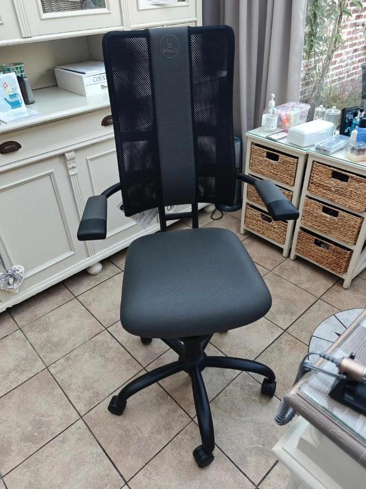 Ergonomische bureaustoel Spinalis, Maison & Meubles, Chaises de bureau, Comme neuf, Chaise de bureau, Autres couleurs, Ergonomique