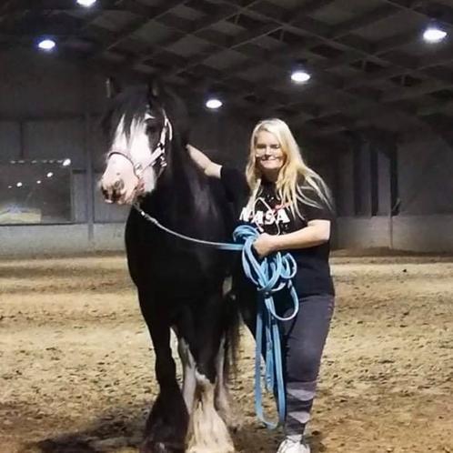 Tinker merrie, Dieren en Toebehoren, Pony's, Merrie