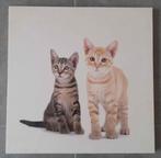 Foto kader met 2 katten erop, Huis en Inrichting, Ophalen