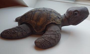 beeld schildpad