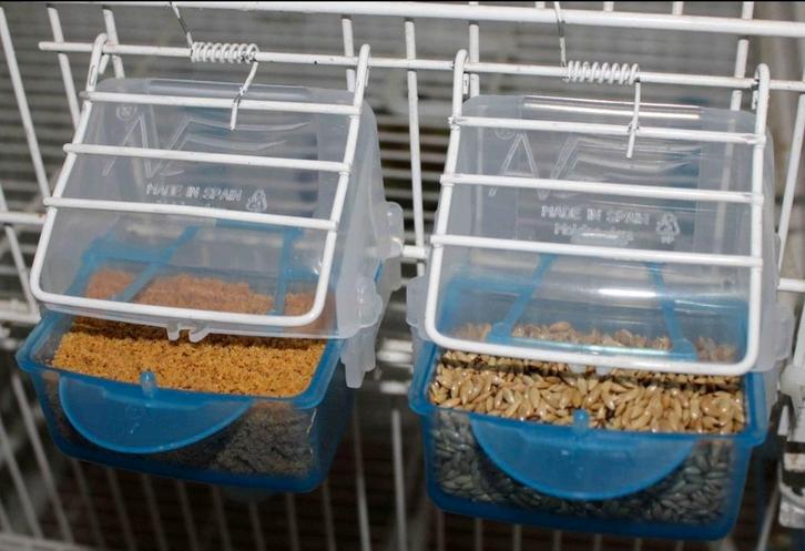 Feeder "Lucia" BLAUW met verwijderbare Lade - Moldes Ave, Dieren en Toebehoren, Vogels | Hokken en Kooien, Nieuw, Ophalen