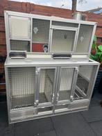 Kweekkooi, Dieren en Toebehoren