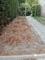 onkruidverdelger, Ophalen of Verzenden, Nieuw
