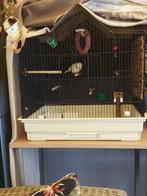 Vogelkooi, Dieren en Toebehoren, Vogels | Hokken en Kooien, Ophalen, Zo goed als nieuw, Vogelkooi